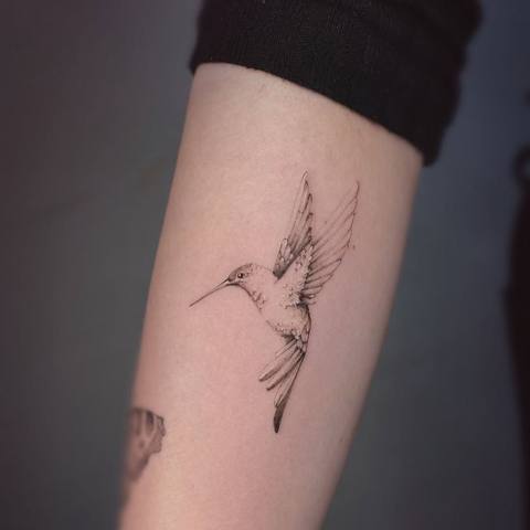 Fineline-Kolibri am Unterarm